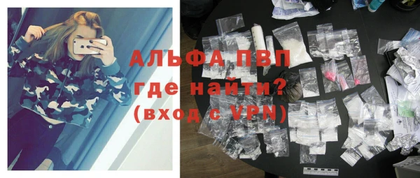 apvp Верея