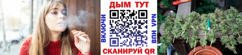 Канабис сатива  Псков 